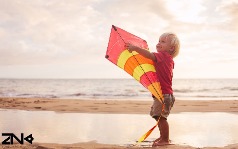 شناخت بادبادک